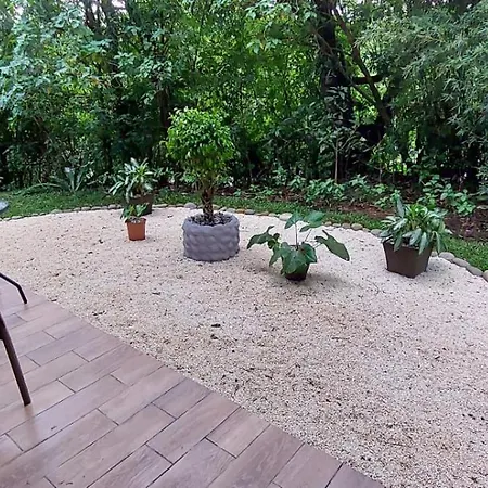 Cabanas Refugio Verde Monteverde Exterior photo